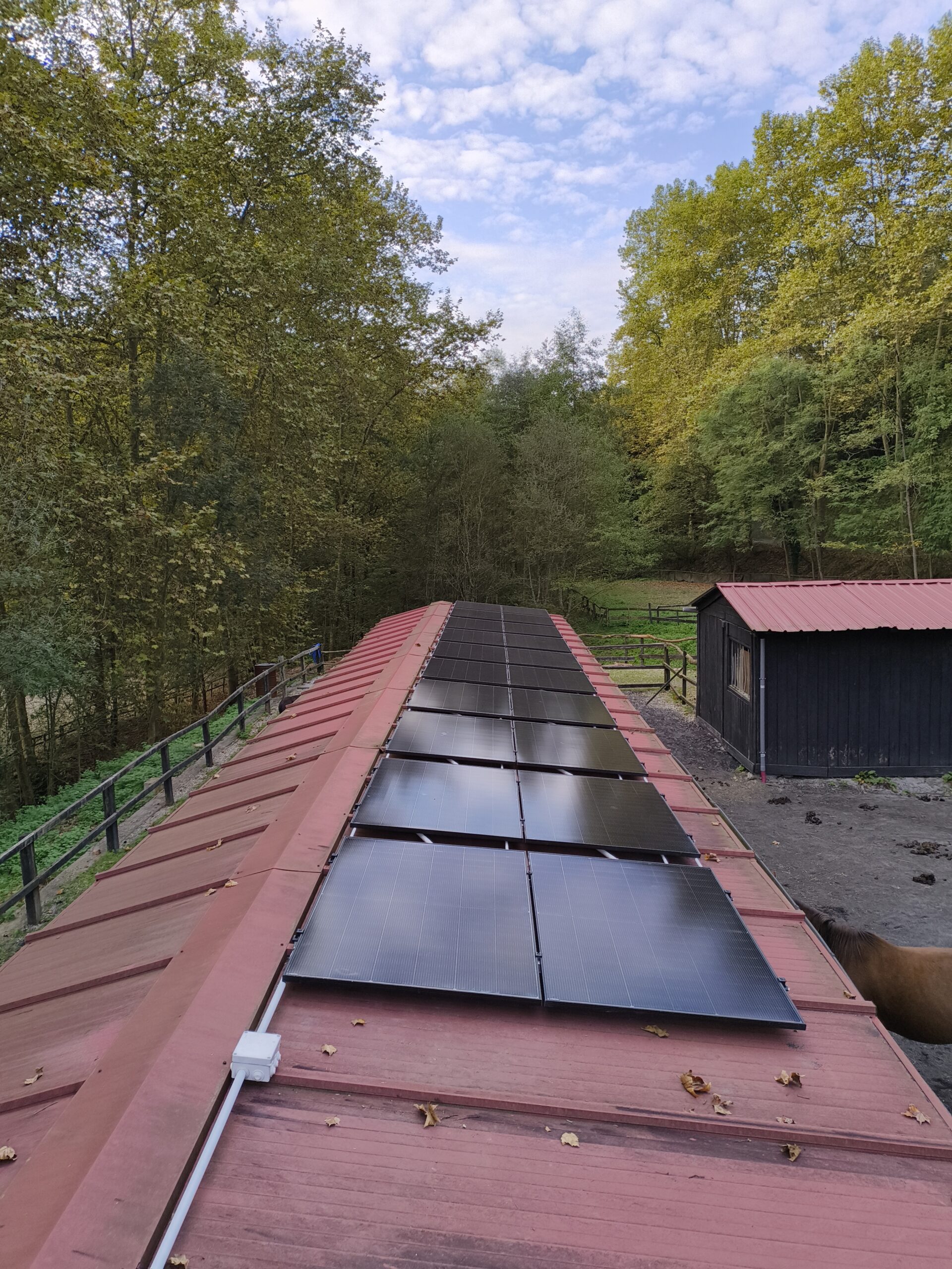 Paneles solares instalados por EFEVOLT